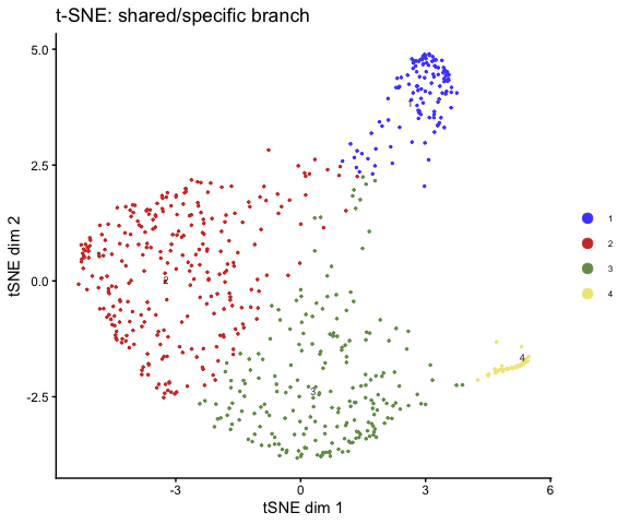 t-SNE embedding